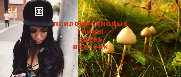 эйфоретик Горнозаводск
