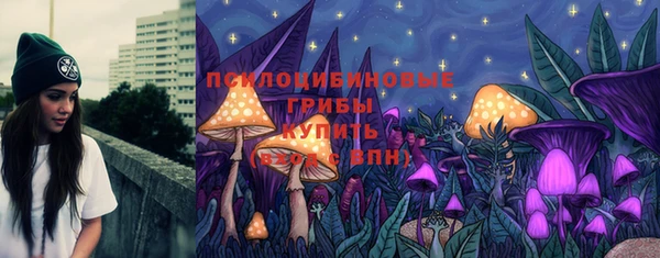 эйфоретик Горнозаводск