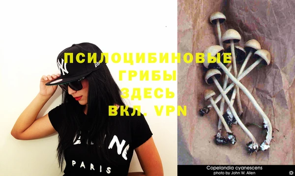 эйфоретик Горнозаводск